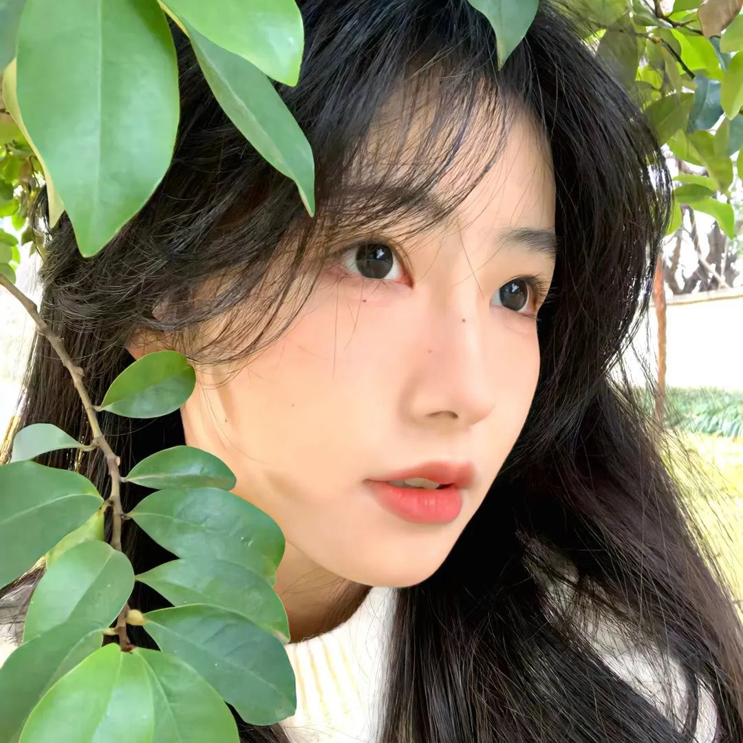 苏庆亮